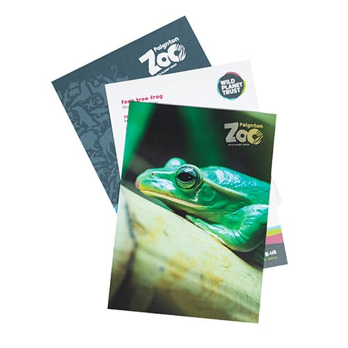 Tree frog standard adoption pack