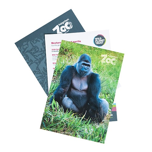 Gorilla standard adoption pack