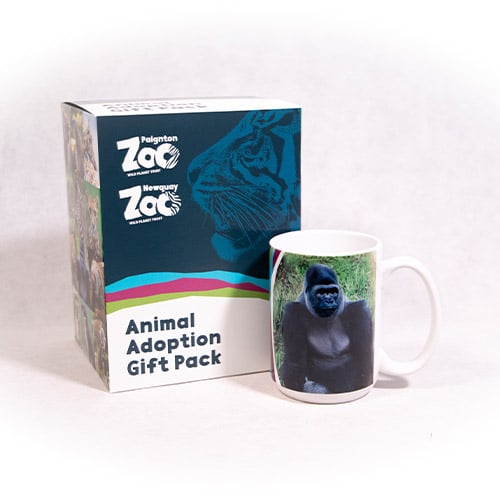 Gorilla adult adoption box