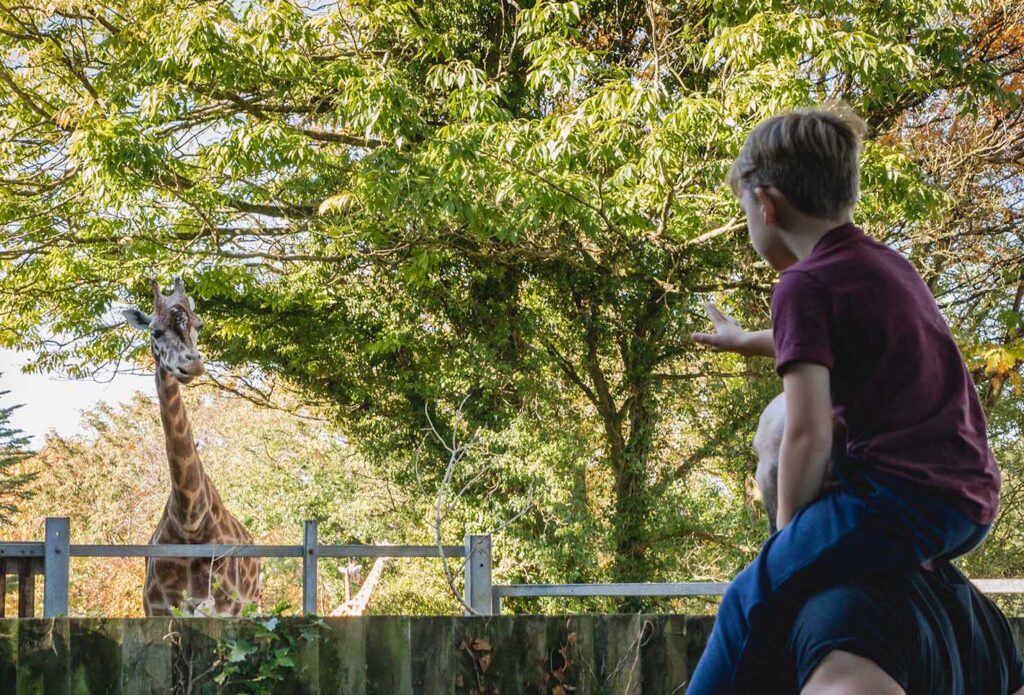 Plan Your Visit • Paignton Zoo