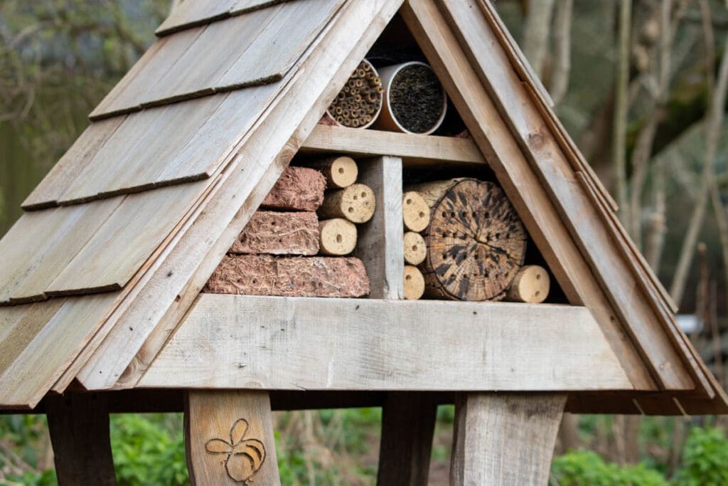 New bee hotel at Paignton Zoo