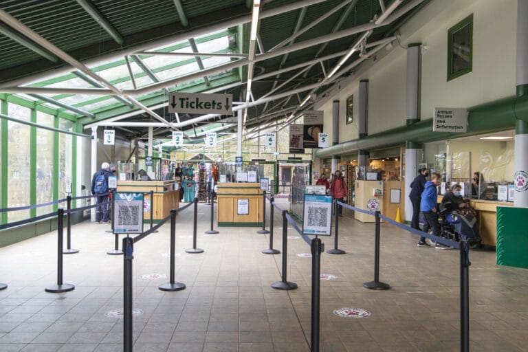 Staying Safe At The Zoo • Paignton Zoo