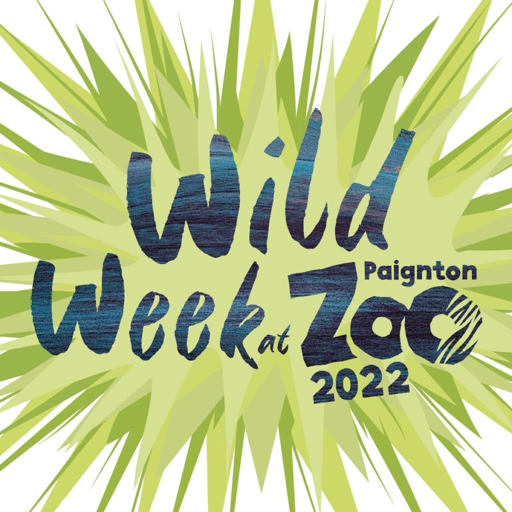 wild week PZ 2022