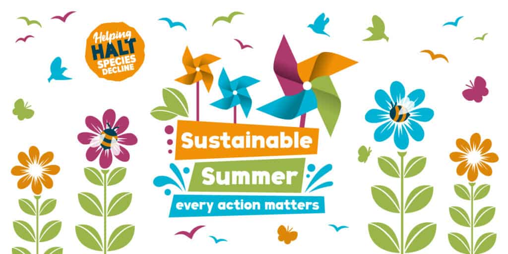 Sustainable Summer 2022 web banner desktop