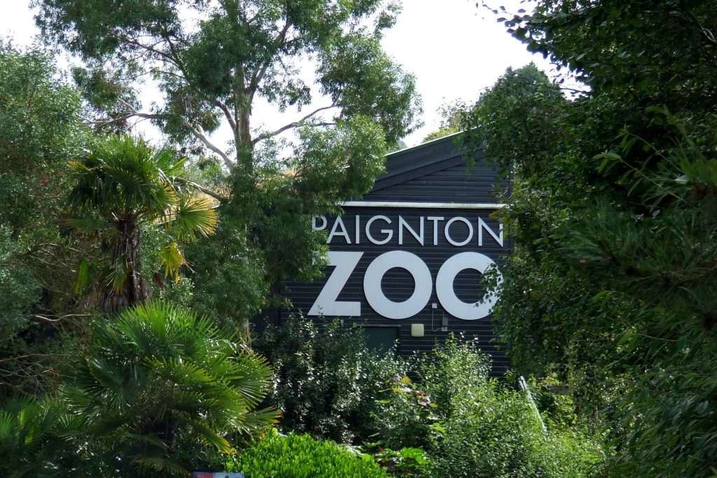 Paignton Zoo general view of front entrance scaled e1668078150972