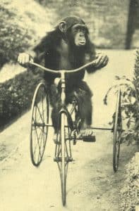 mary 1924
