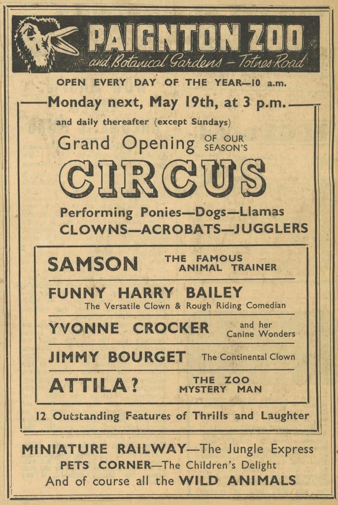 12 circus advert