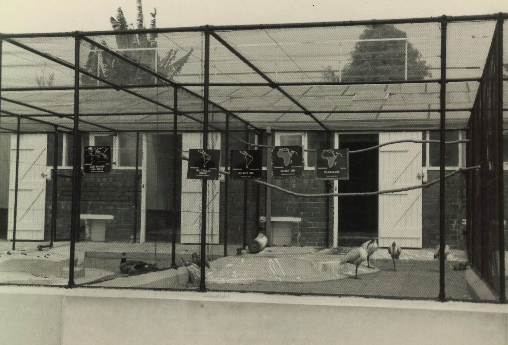 Zoo Memories Trail Cottage Aviary • Paignton Zoo