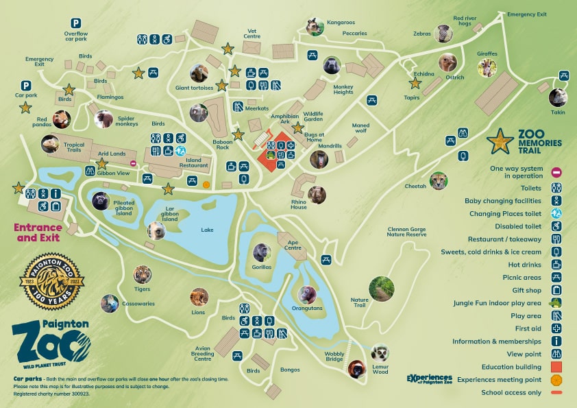 Zoo Map Layout