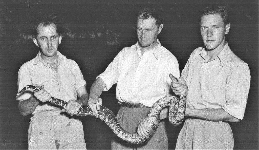 Ken Smith (left) with artist Robert Lowes (centre) and naturalist Gerald Durrell (right) holding a captured 8' boa in British Guiana, 1950.