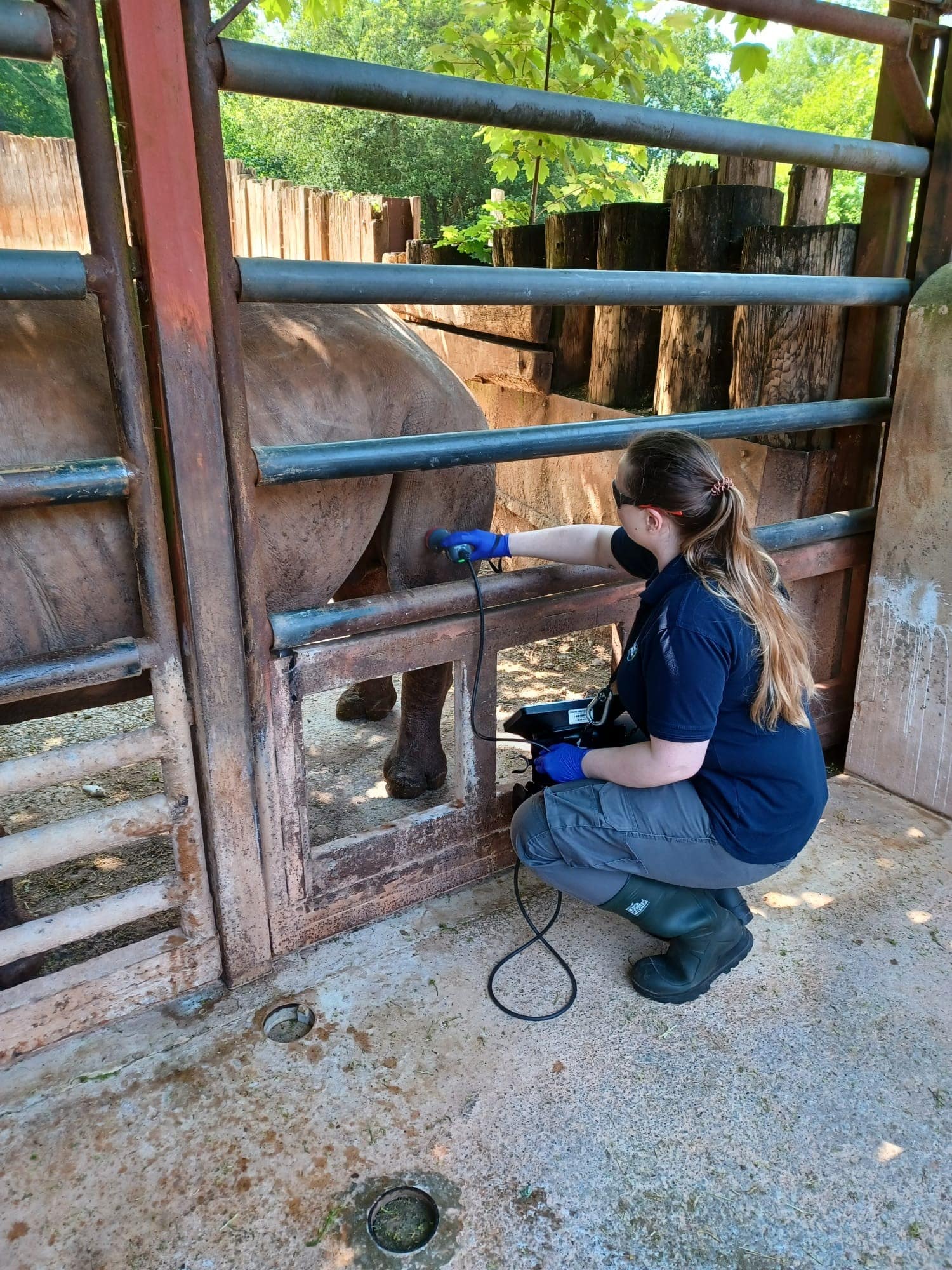 Behind the scenes at Paignton Zoo: A day in the life of a vet nurse
