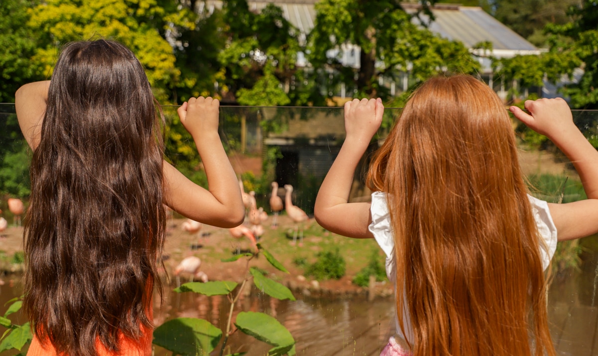 Paignton Zoo’s Top 5 Zoo Hacks for an Unforgettable Visit