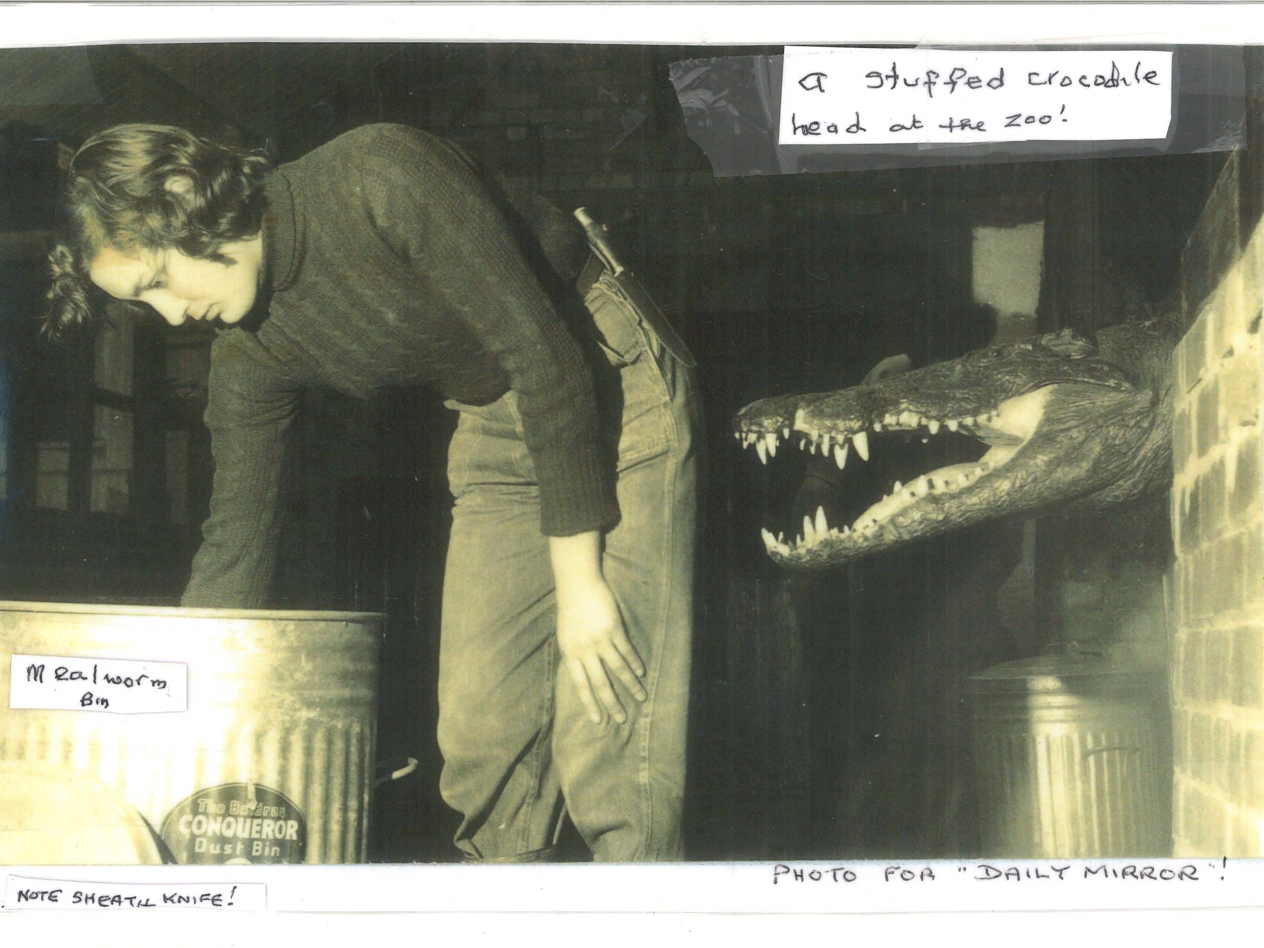 Frances croc head edited scaled