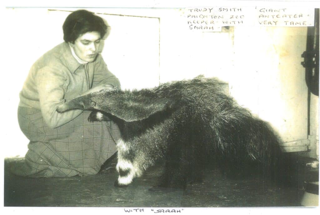 Trudy Sarah