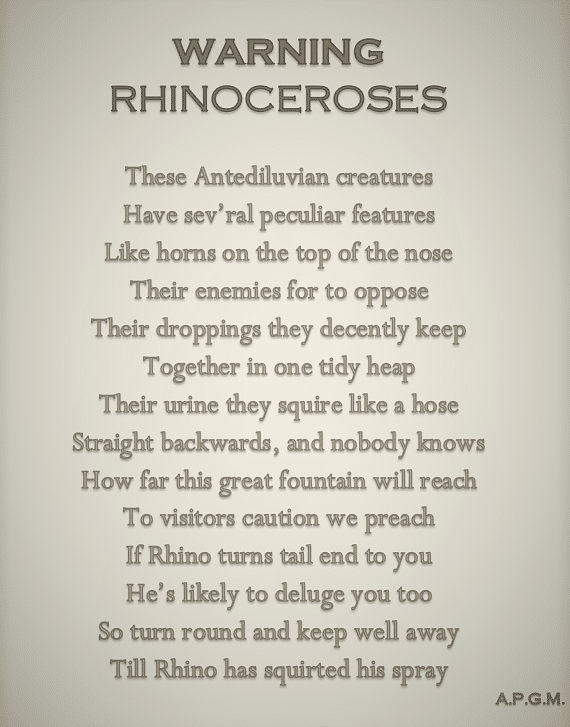 rhino poem engraved 1