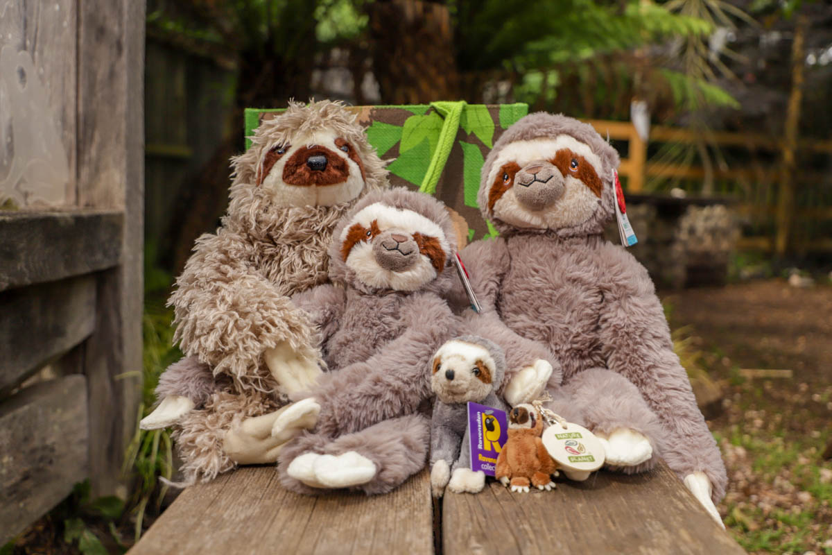 Meet Mo The Sloth: Your Chance To Win A 'Meet & Greet' At Paignton Zoo