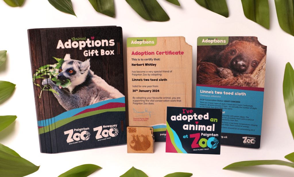 Support Wildlife Conservation With Paignton Zoo’s New Animal Adoption