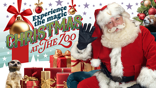 paignton zoo christmas 24 facebook mobile