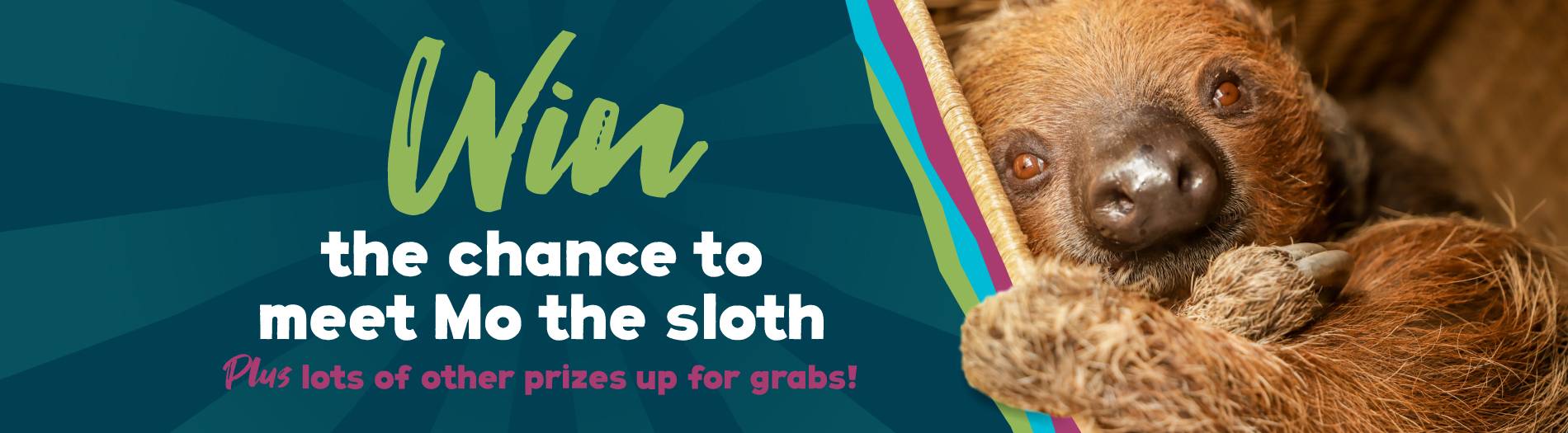 pz crowdfunder mo the sloth web banner
